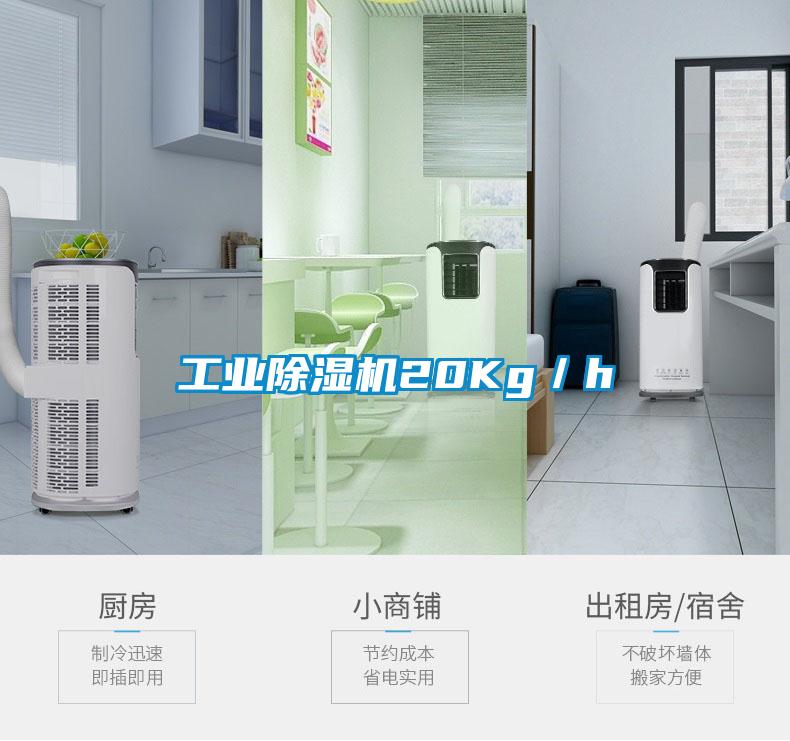 工业草莓视频黄色在线观看机20Kg／h