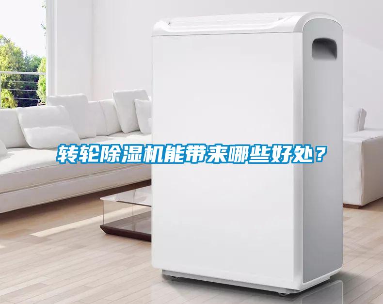 转轮草莓视频黄色在线观看机能带来哪些好处？