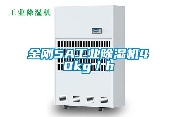 金刚5A工业草莓视频黄色在线观看机40kg／h