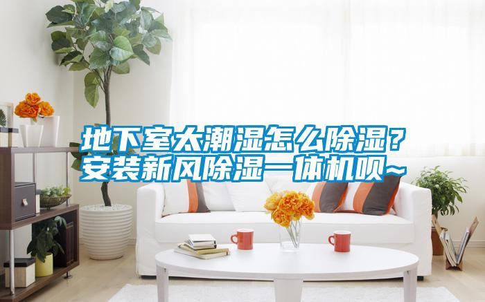 地下室太潮湿怎么草莓视频黄色在线观看？安装新风草莓视频黄色在线观看一体机呗~