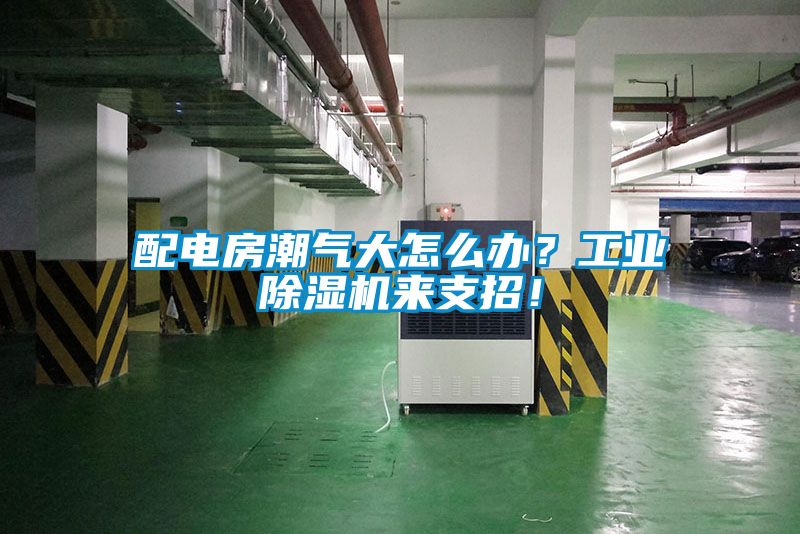 配电房潮气大怎么办？工业草莓视频黄色在线观看机来支招！
